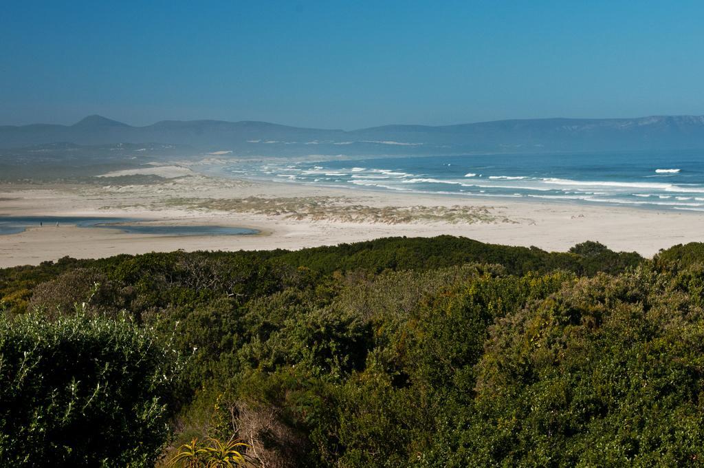 Mosselberg On Grotto Beach Hermanus Eksteriør bilde